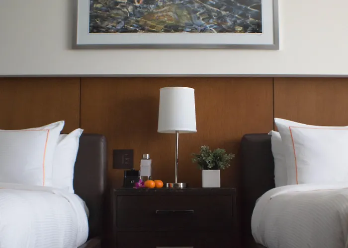 Arista Naperville