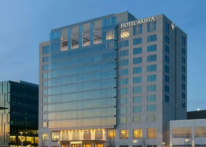 Arista